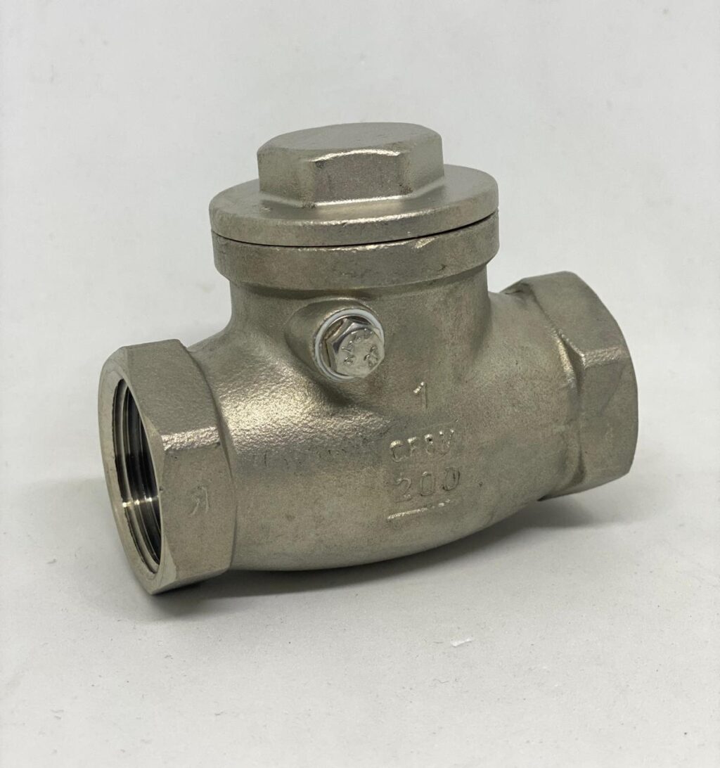 SWING CHECK VALVE ROSCADA INOXIDABLE 316 NPT - Imagen 2